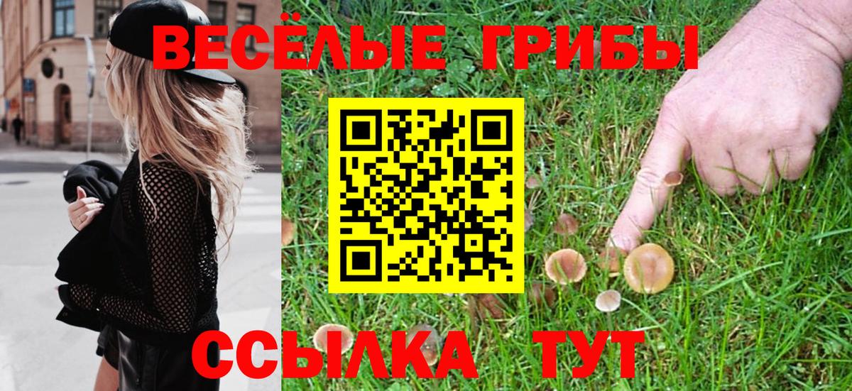 Троицк  Псилоцибиновые грибы Psilocybe  Вход с VPN 