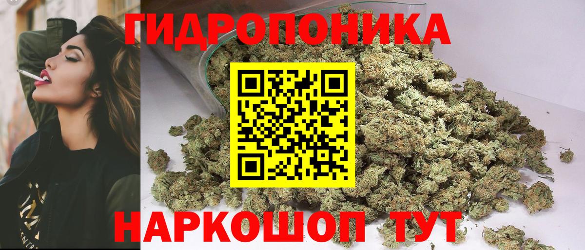 Каннабис гибрид  Вход с VPN  Марихуана гибрид  Бошки Шишки THC 21%  Бошки Шишки планчик  Троицк 